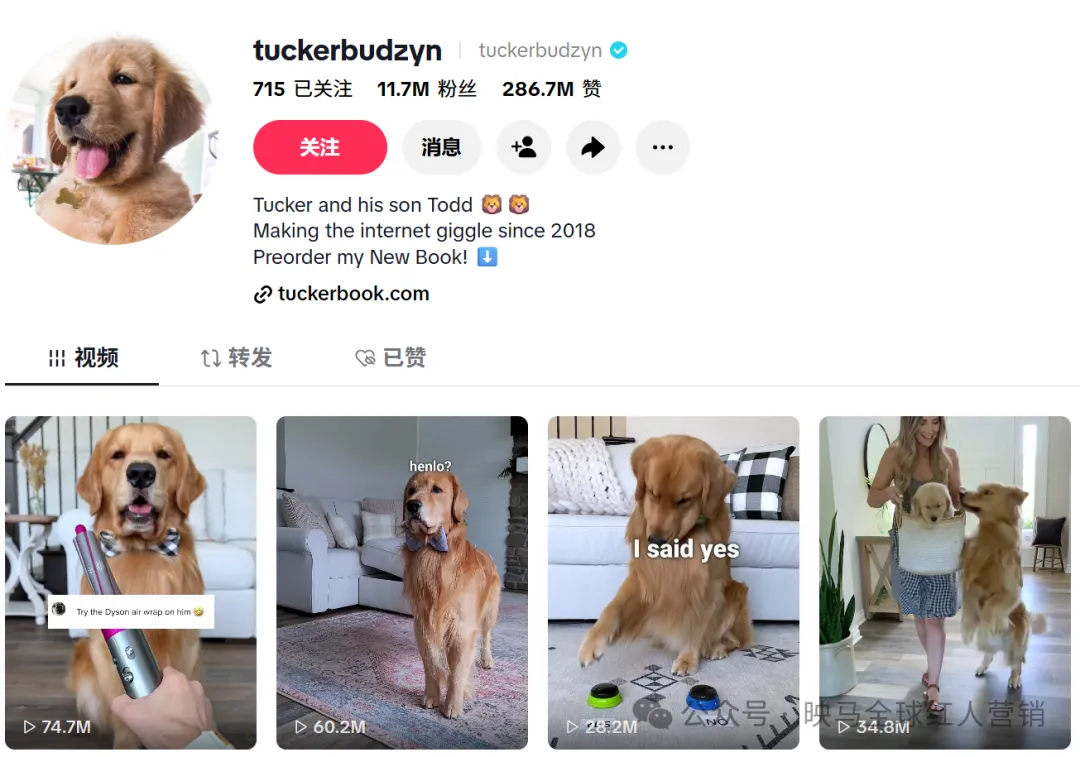图片 年营收119亿,卖到全球第一,Roborock凭什么让海外消费者疯狂买单?