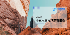 2024中东电商市场洞察报告