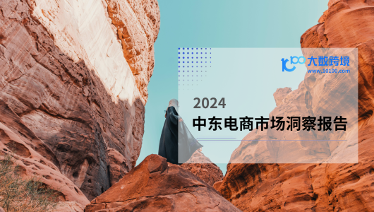 2024中东电商市场洞察报告