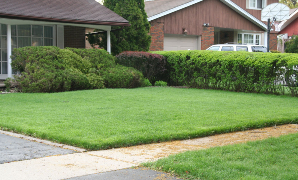 庭院经济引爆 TikTok：草坪打孔器狂揽 320 万，跨境选品新风口已至！