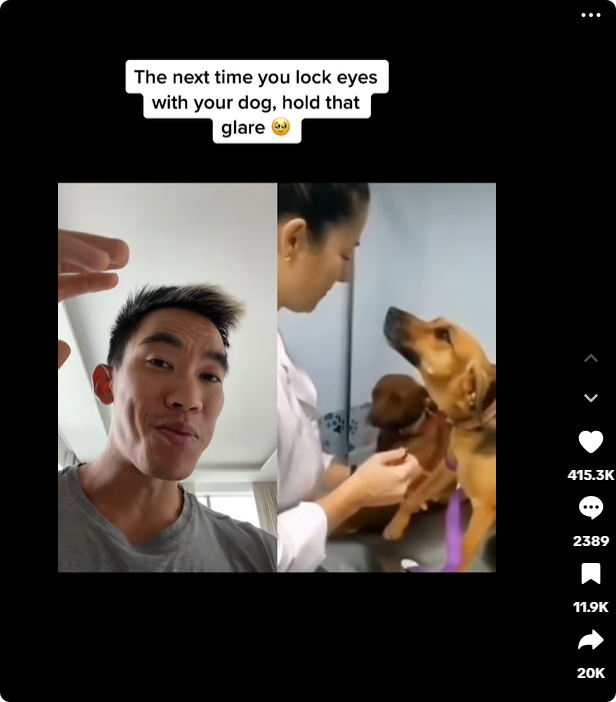 年入超2亿美元！宠物保健品成欧美热门