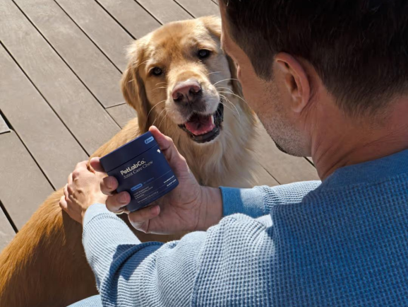 年入超2亿美元！宠物保健品成欧美热门