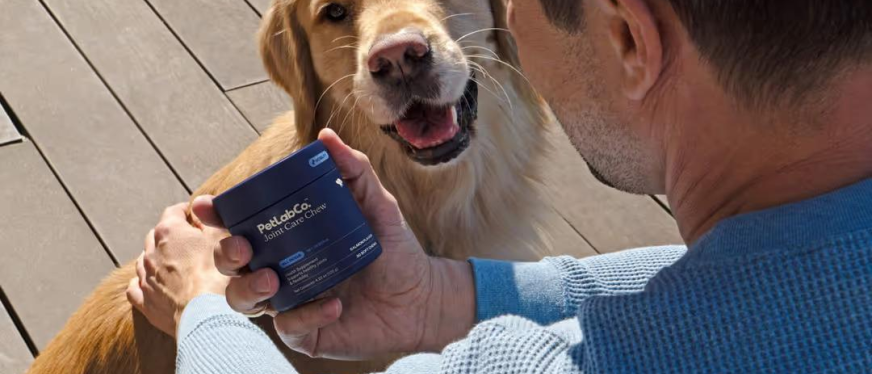 年入超2亿美元！宠物保健品成欧美热门