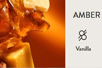 一块木头如何年增131%：Drift车载香薰的DTC破局法则