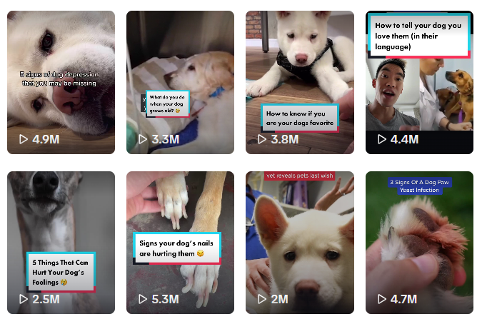 年入超2亿美元！宠物保健品成欧美热门