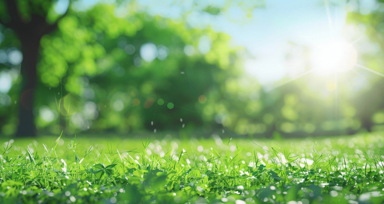 2024年夏季选品趋势报告