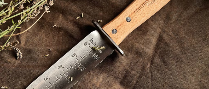 美国市场热销小众园艺产品盘点