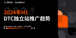 2024年上半年DTC独立站推广趋势报告