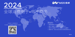 2024全球电商消费电子市场研究报告