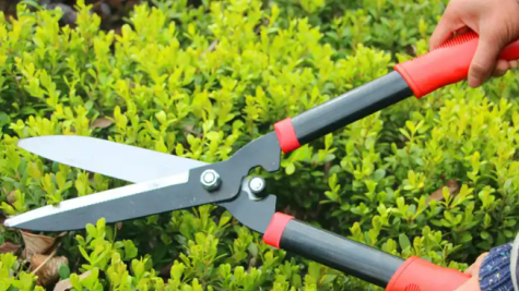 春季到来，万物生发！轻量化园林工具热卖！一款修枝锯周销9248件