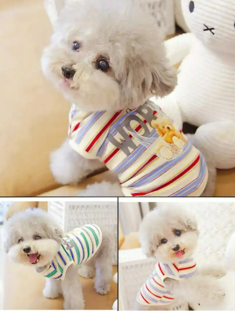 跨境选品新风口：宠物服饰爆发，千万市场红利待挖掘