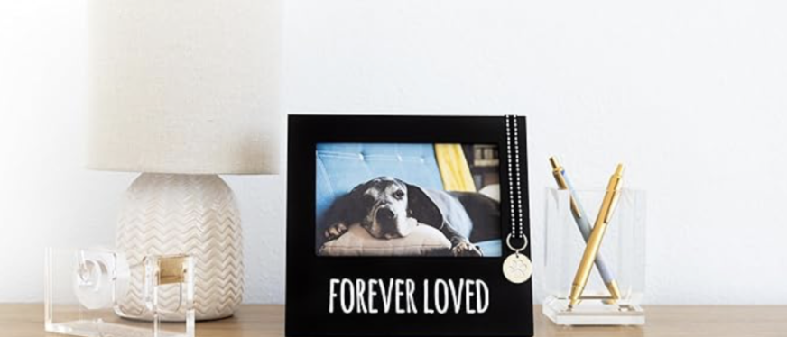 70%产品长一样、价格跌到$19：宠物纪念品这条线，已经不值得再继续卷了？