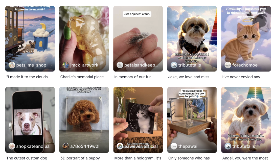 70%产品长一样、价格跌到$19：宠物纪念品这条线，已经不值得再继续卷了？