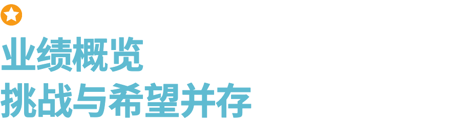 Jumia 2025 Q1财报：非洲电商市场盈利蓝图已清晰