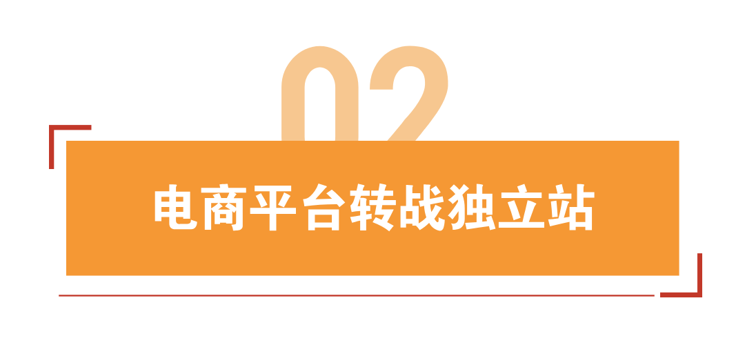 12天营收百万，深圳大卖又拿下一潜力赛道 | 品牌案例