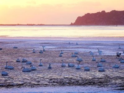 政府工作报告这些新提法、新举措释放什么信号？