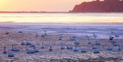 政府工作报告这些新提法、新举措释放什么信号？