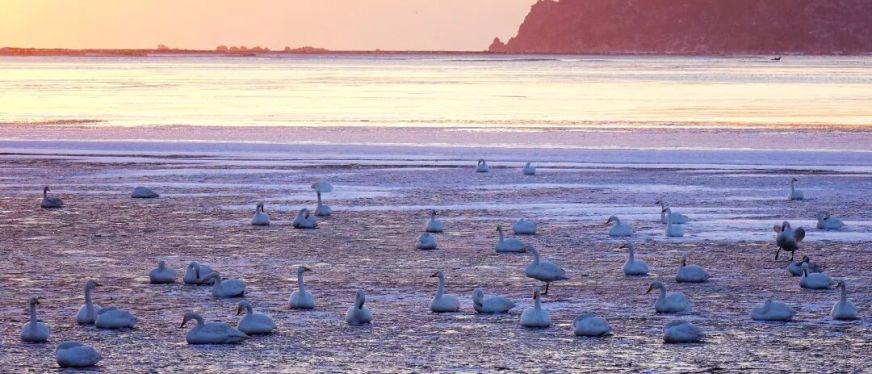 政府工作报告这些新提法、新举措释放什么信号？