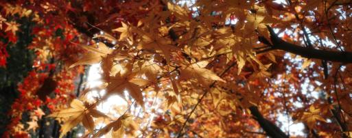 紧急：这21款产品已下证美国外观专利！