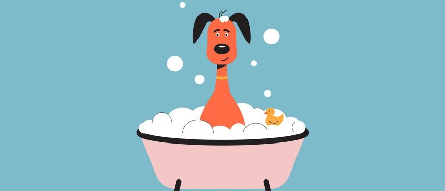 掘金欧美猫品旺季!2025春夏猫类用品选品趋势解读