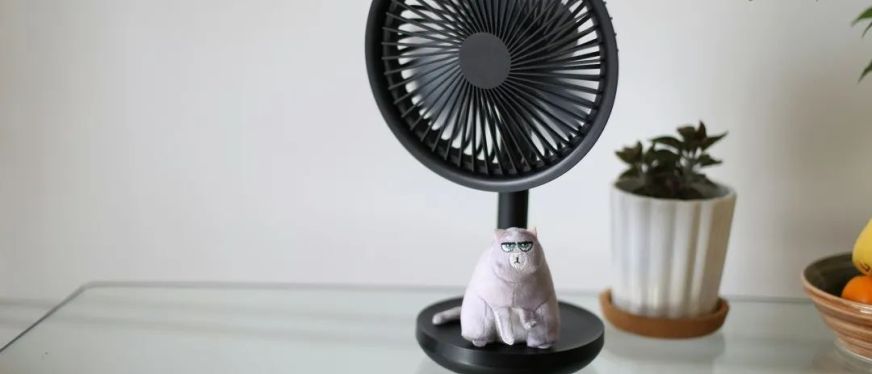 ​9.9美元风扇TikTok爆卖53万刀！美国高温催生降温神器 单月销量激增617%​