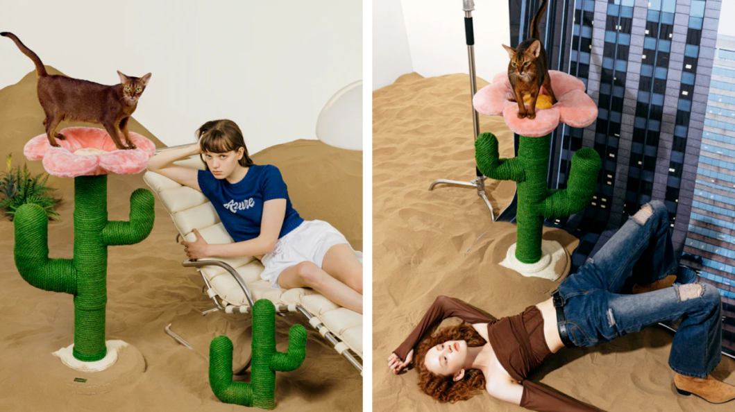 从30万件到2.1亿GMV:Vetreska如何用美学重构宠物赛道?