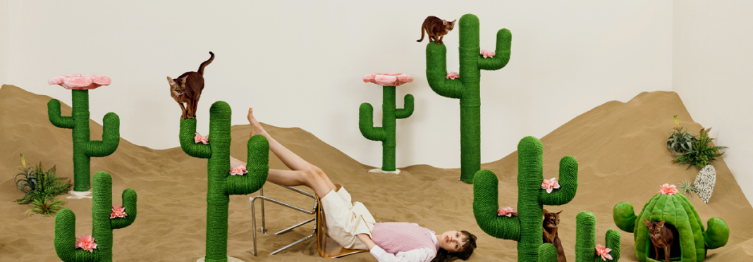 从30万件到2.1亿GMV:Vetreska如何用美学重构宠物赛道?