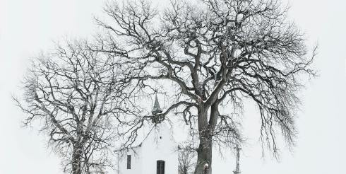 从冷启动到爆单：GMV Max两周冲刺攻略与预算分配策略