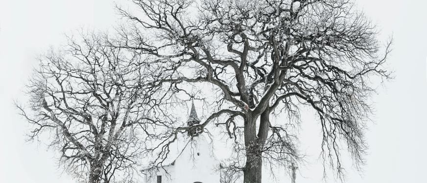 从冷启动到爆单:GMV Max两周冲刺攻略与预算分配策略