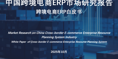 2025年中国跨境电商ERP市场研究报告
