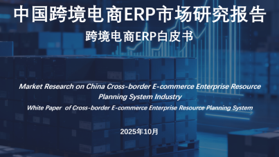 2025年中国跨境电商ERP市场研究报告