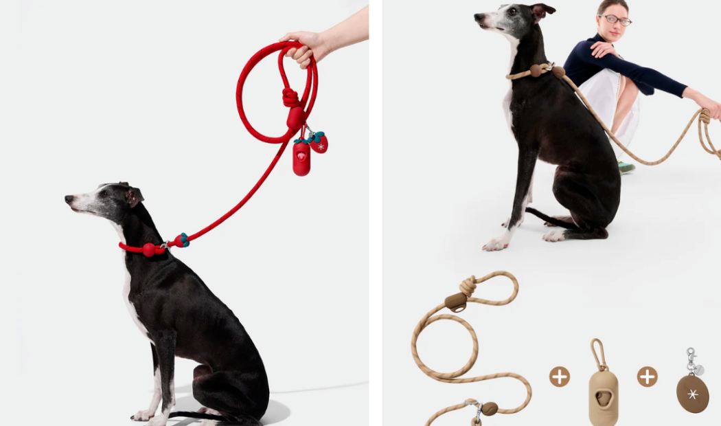 从30万件到2.1亿GMV:Vetreska如何用美学重构宠物赛道?