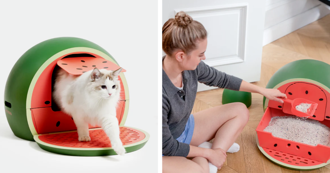 从30万件到2.1亿GMV:Vetreska如何用美学重构宠物赛道?