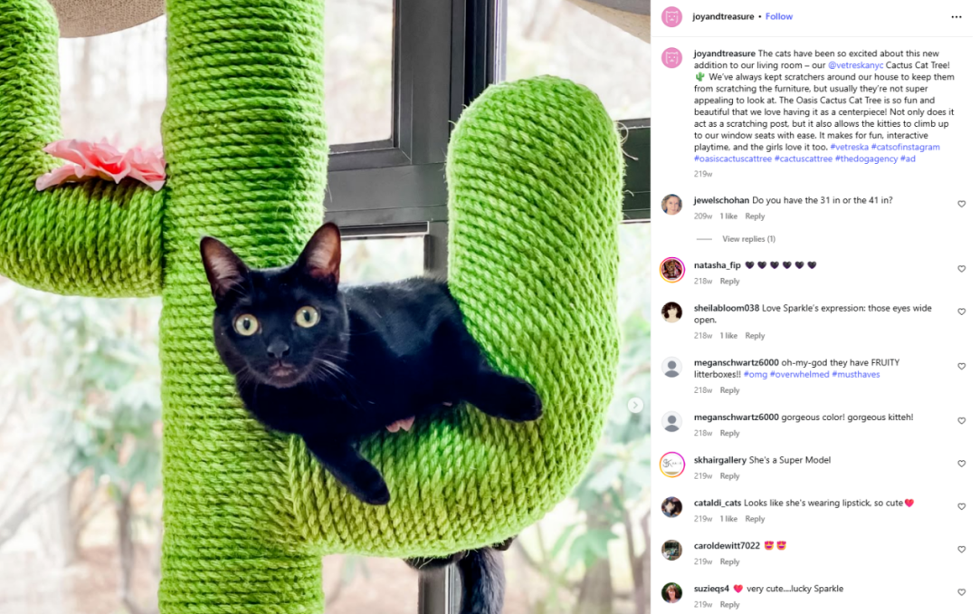 从30万件到2.1亿GMV:Vetreska如何用美学重构宠物赛道?