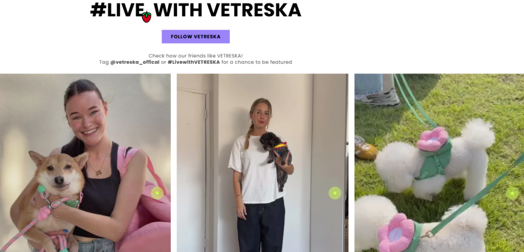 从30万件到2.1亿GMV:Vetreska如何用美学重构宠物赛道?