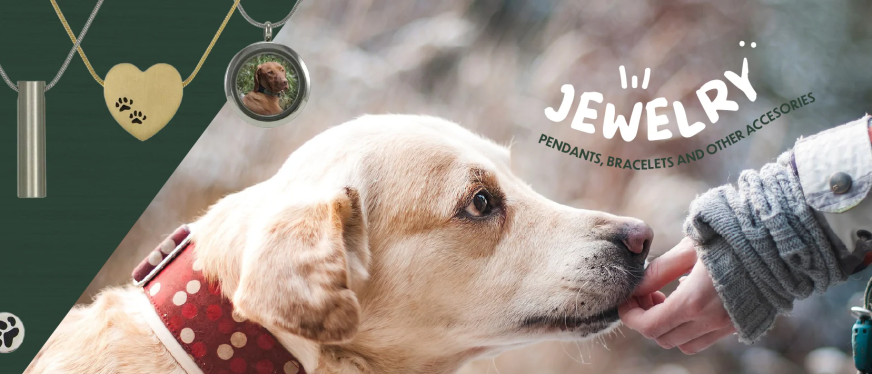 年营收 920 万美金，这家专卖宠物骨灰盒的独立站，如何把冷门品类做到情绪爆款？