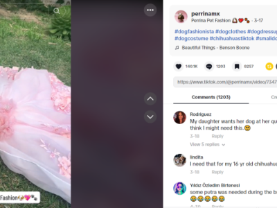 百万曝光量!宠物品类又出冷门新赛道