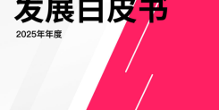 2025年TikTok生态发展白皮书