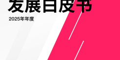 2025年TikTok生态发展白皮书
