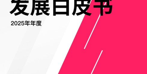 2025年TikTok生态发展白皮书