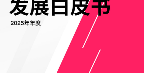 2025年TikTok生态发展白皮书
