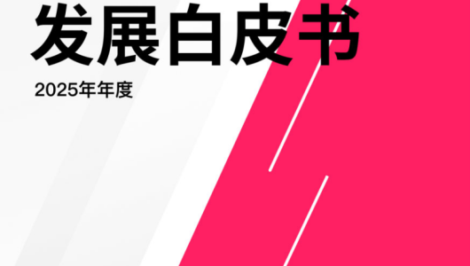 2025年TikTok生态发展白皮书