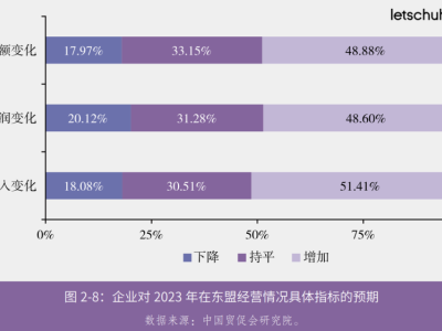 品牌出海东南亚，潮起潮落