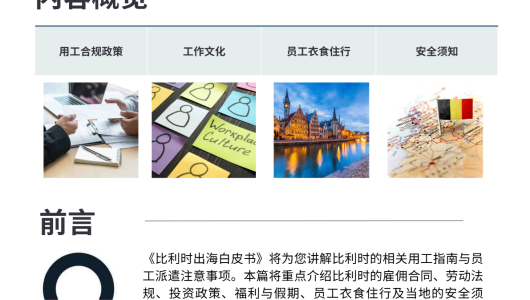 2025年比利时出海白皮书