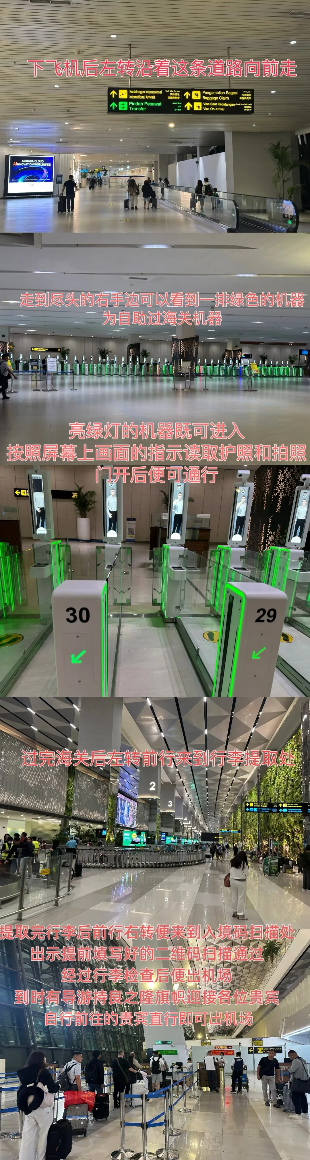 跨境展会早知道|2025 良之隆（印尼）全球食材贸易节参展指南