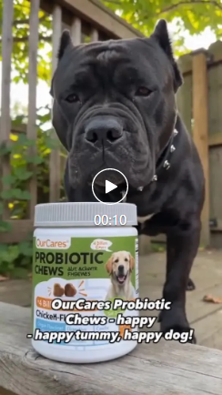 深夜AI王炸！字节出手，TikTok视频带货神器上线