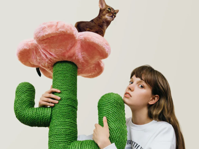 一年吸金上亿!上海又跑出一个宠物赛道的“爆款制造机”!