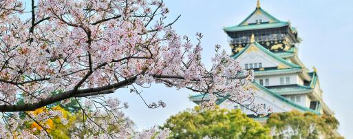 官方榜单 | 日本亚马逊2025年度Top店铺