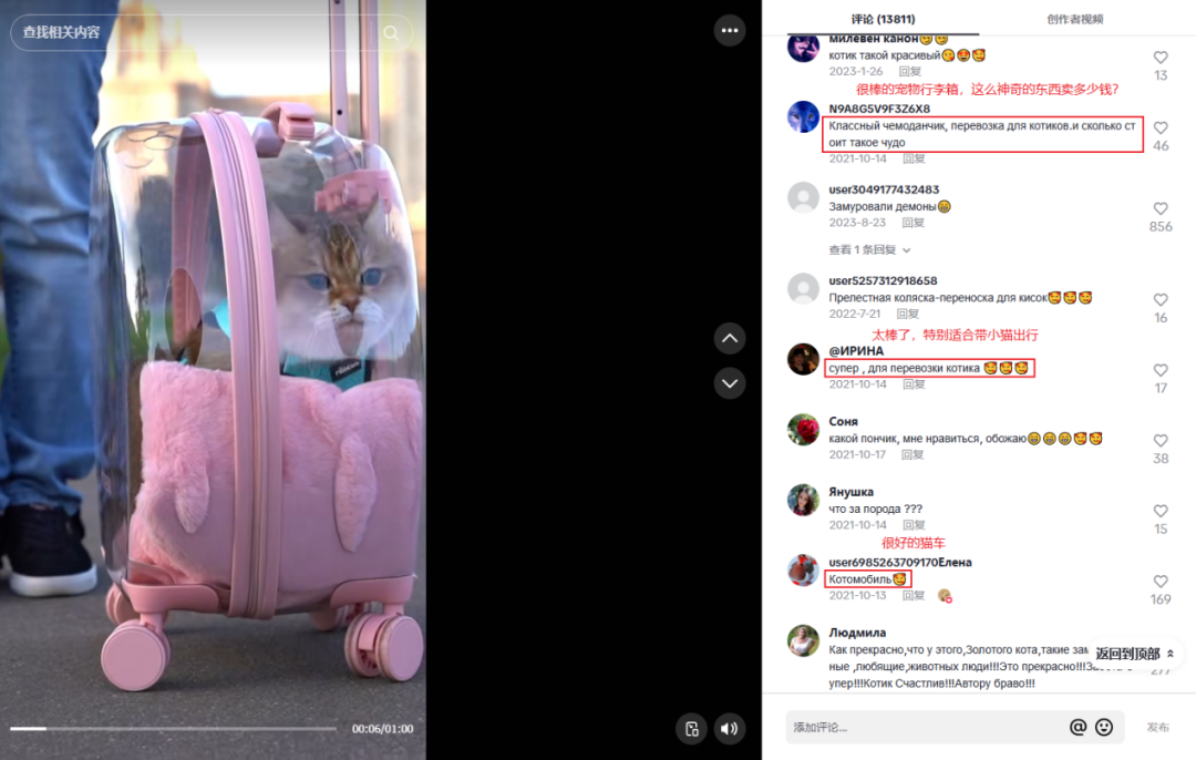 图片 一年吸金上亿!上海又跑出一个宠物赛道的“爆款制造机”!