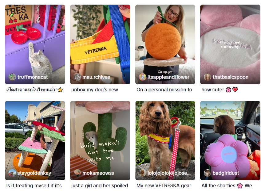 图片 一年吸金上亿!上海又跑出一个宠物赛道的“爆款制造机”!